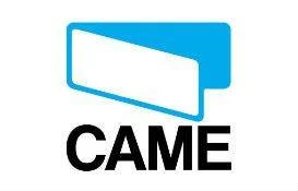 Came